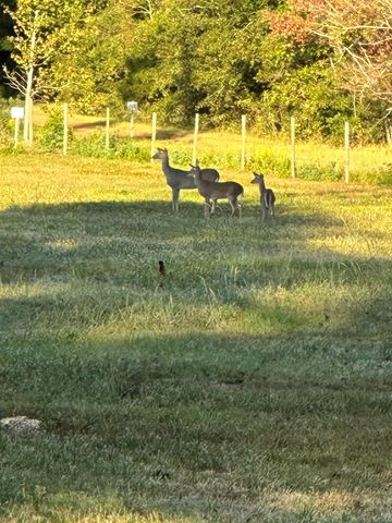 313 Roy Road, Wallisville, TX 77597