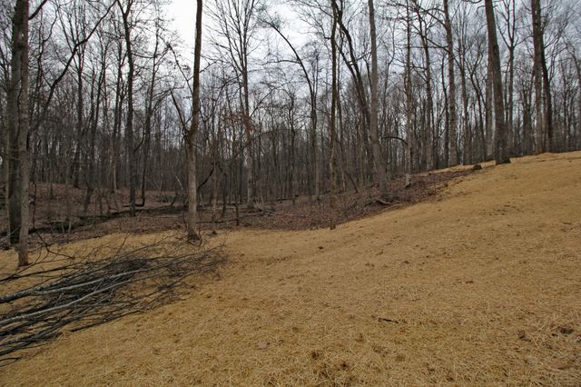 2935 Friendship Rd, Cross Plains, TN 37049