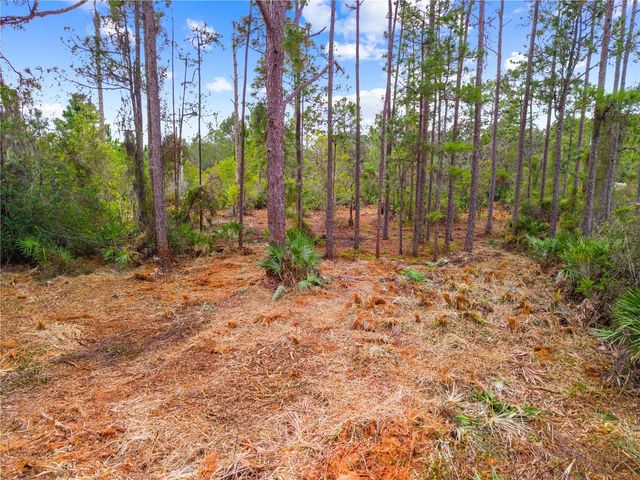 0 DEASE ROAD, St Cloud, FL 34771