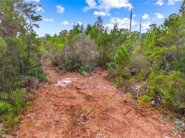 0 DEASE ROAD, St Cloud, FL 34771