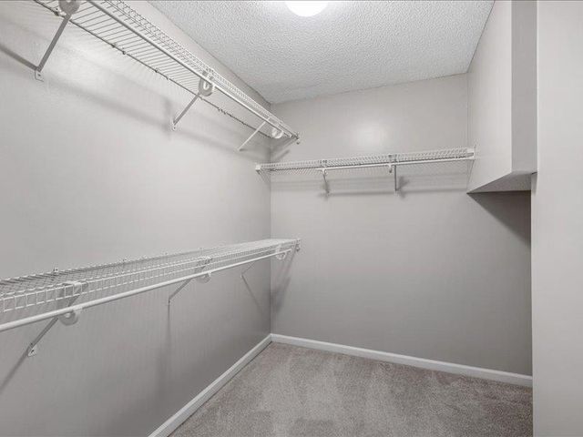 615 JOCKEY CV, Collierville, TN 38017