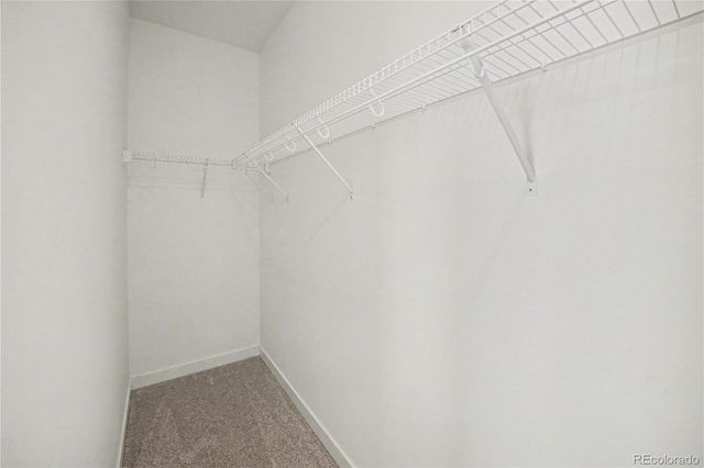 7917 Yampa River Avenue, Littleton, CO 80125