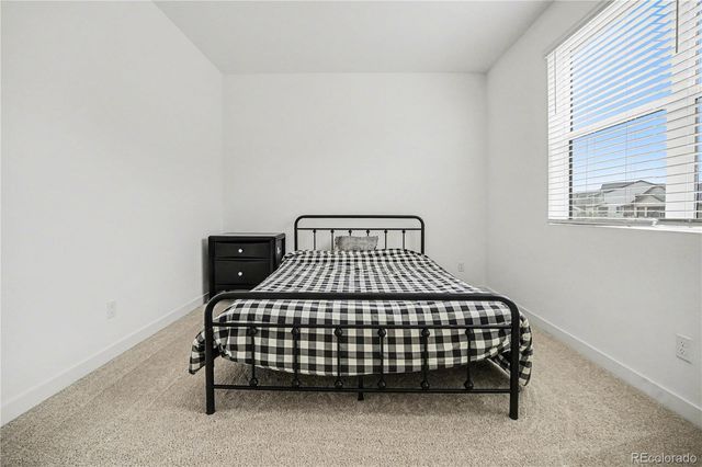 7917 Yampa River Avenue, Littleton, CO 80125