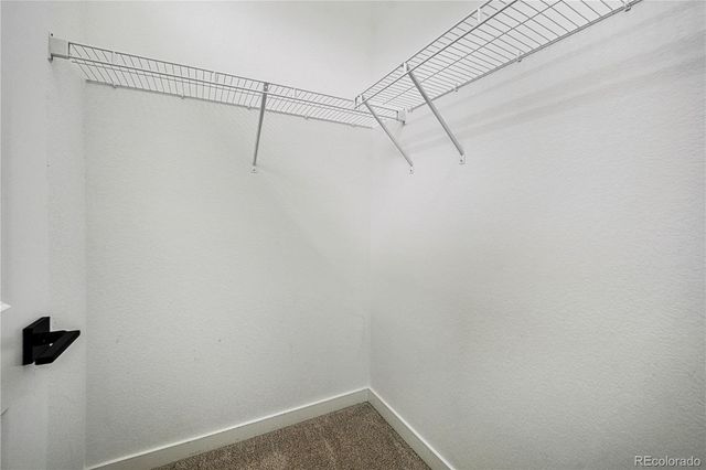 7917 Yampa River Avenue, Littleton, CO 80125