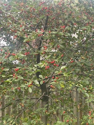 1870 N 27th Street, Kansas City, KS 66104