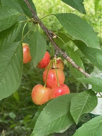 1870 N 27th Street, Kansas City, KS 66104