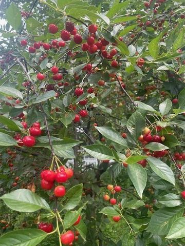 1870 N 27th Street, Kansas City, KS 66104