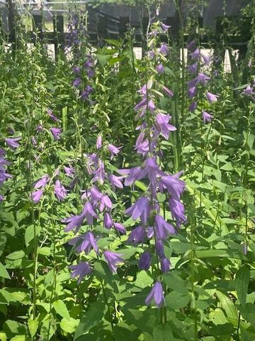 1870 N 27th Street, Kansas City, KS 66104