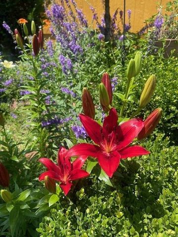 1870 N 27th Street, Kansas City, KS 66104