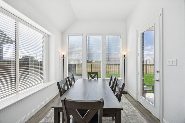 17311 Texas Pistache Drive, Dallas, TX 75252