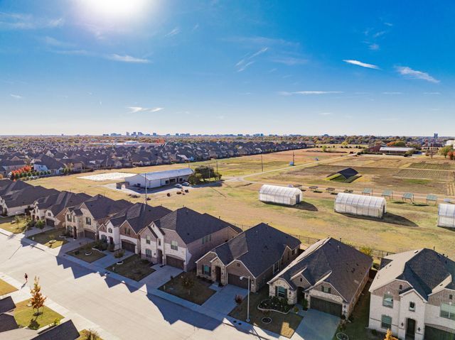 17311 Texas Pistache Drive, Dallas, TX 75252