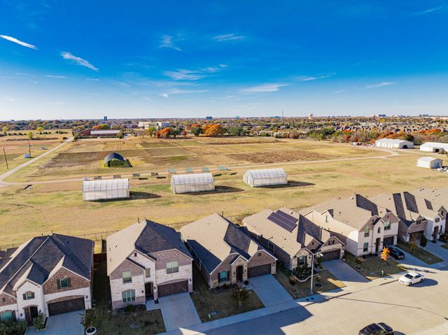 17311 Texas Pistache Drive, Dallas, TX 75252