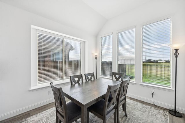 17311 Texas Pistache Drive, Dallas, TX 75252