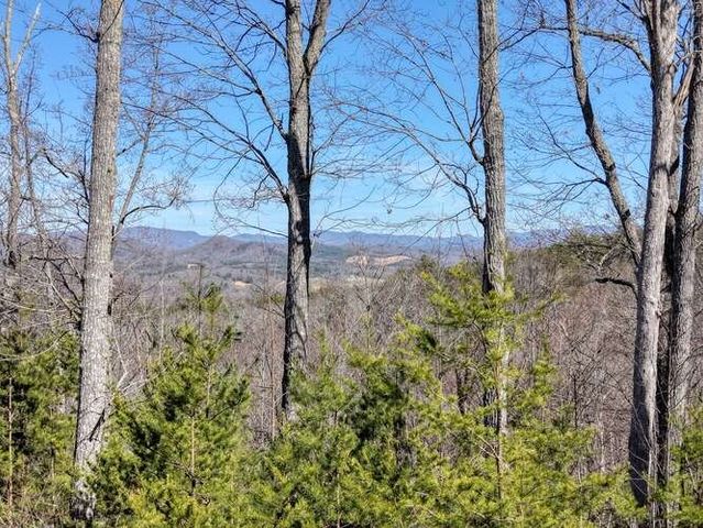 2081 Gallatin Road, Young Harris, GA 30582