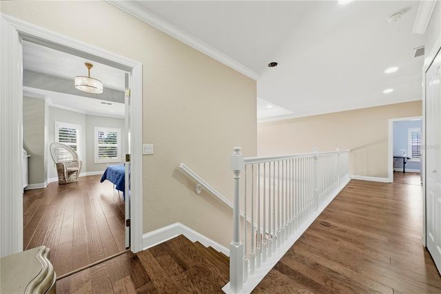9244 RHEA DRIVE, Odessa, FL 33556