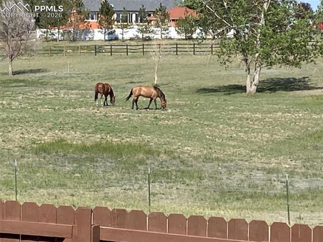 7831 Barraport Drive, Colorado Springs, CO 80908