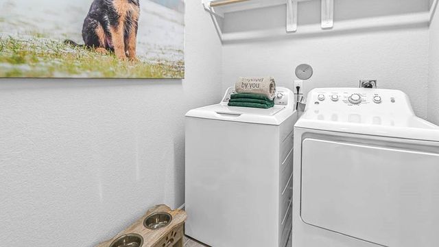 9627 Pink Lotus Court, Richmond, TX 77407