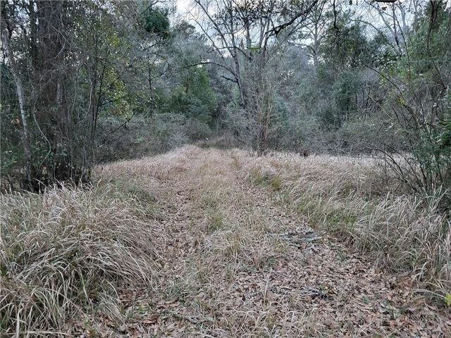 10840 Wisteria Street, Irvington, AL 36544