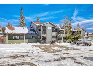 10000 Ryan Gulch Rd 116, Silverthorne, CO 80498