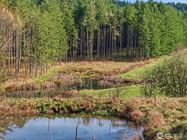 211 Echo Road, Rochester, WA 98579