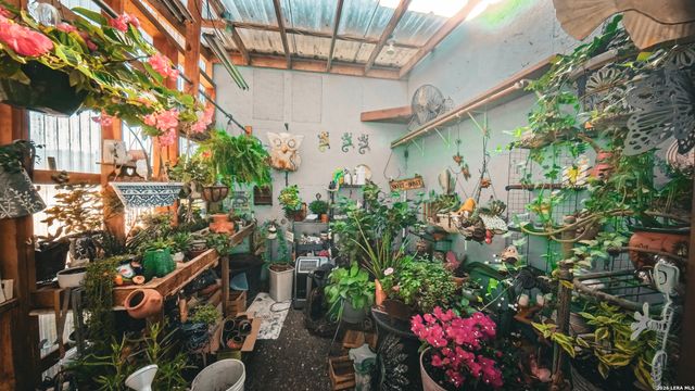 857 Madrona, Pipe Creek, TX 78063