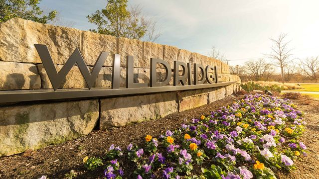 9007 Indianola Trail, Oak Point, TX 75068