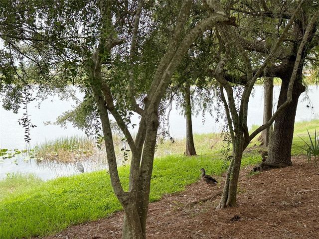 5024 SHOREWAY LOOP 107, Orlando, FL 32819
