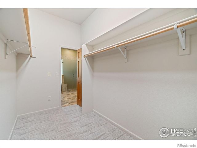 1577 Bison Run Drive, Windsor, CO 80550