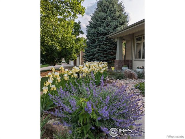 1577 Bison Run Drive, Windsor, CO 80550