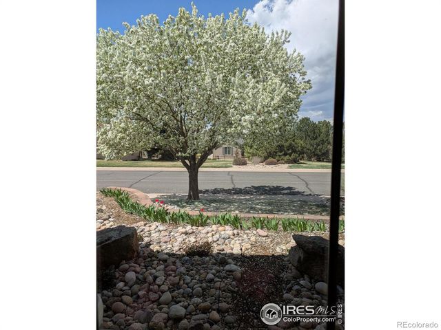 1577 Bison Run Drive, Windsor, CO 80550