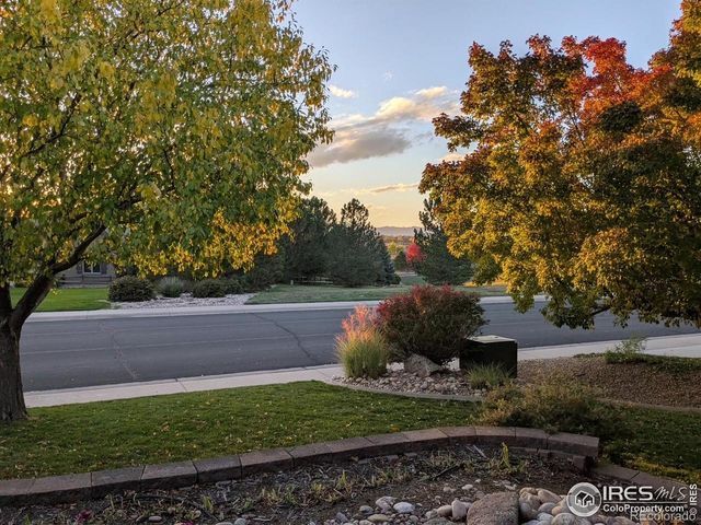 1577 Bison Run Drive, Windsor, CO 80550