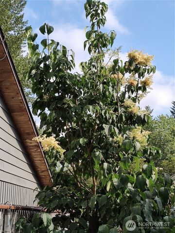 208 W Galena Street, Granite Falls, WA 98252