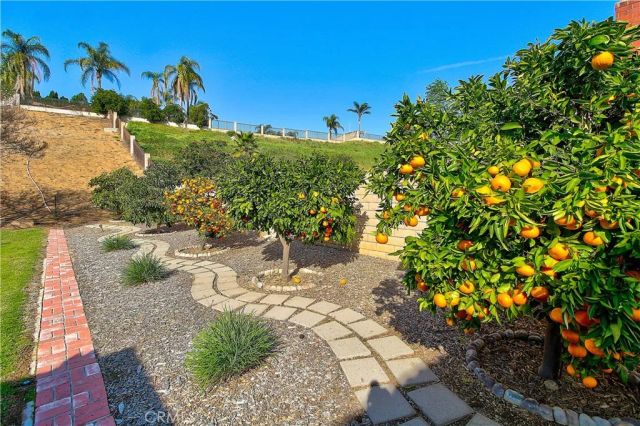 10849 Morning View Court, Riverside, CA 92505