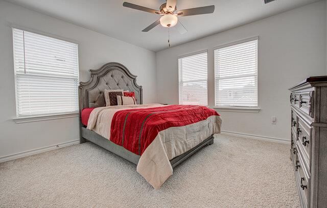 17325 Casanova Ave, Pflugerville, TX 78660