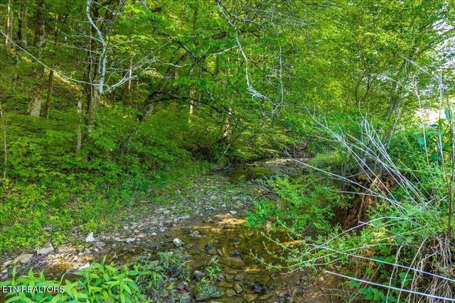 0 Shadden Road, Tellico Plains, TN 37385