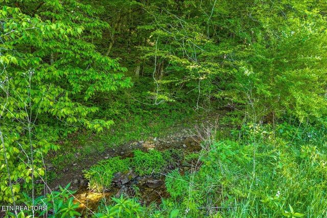 0 Shadden Road, Tellico Plains, TN 37385