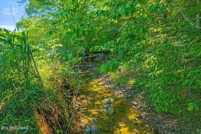0 Shadden Road, Tellico Plains, TN 37385
