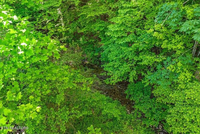 0 Shadden Road, Tellico Plains, TN 37385