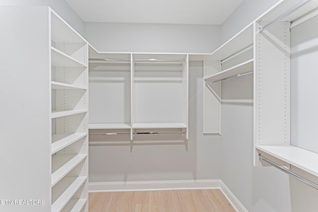 826 Sophie Drive, Greenback, TN 37742