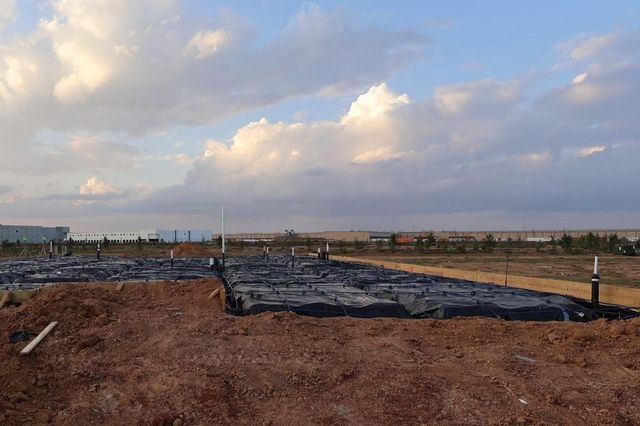 31530 Bluebell Avenue, Fulshear, TX 77423