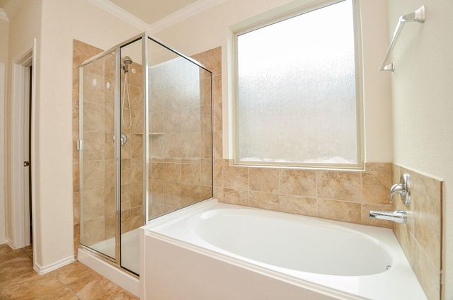 3119 Balch Springs Lane, Katy, TX 77449