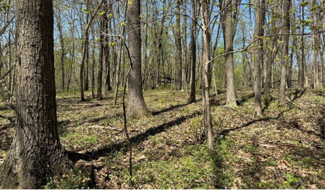 2220 Anne Lane, Crete, IL 60417