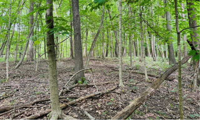 2220 Anne Lane, Crete, IL 60417