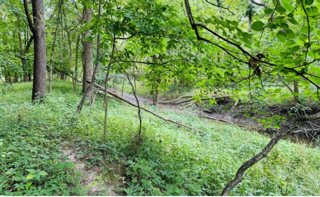 2220 Anne Lane, Crete, IL 60417