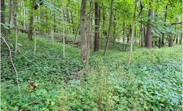 2220 Anne Lane, Crete, IL 60417