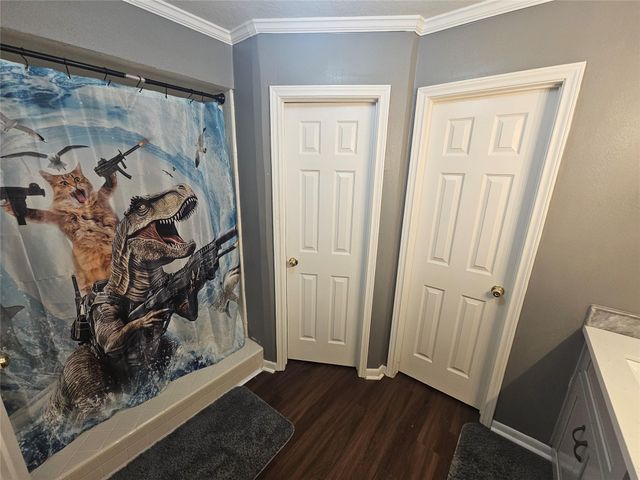 710 Enchanted River Drive, Spring, TX 77388
