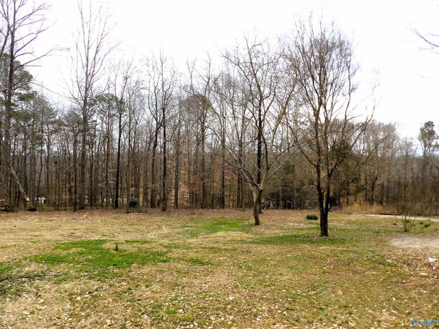 306 Blowing Springs Road, Hartselle, AL 35640