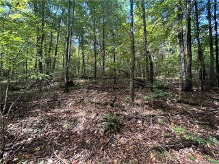 22764 Carter Lane Road, Winslow, AR 72959