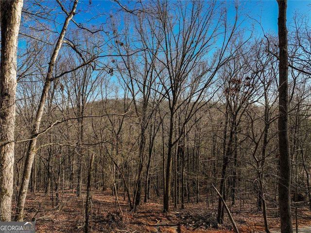 LOT 11 Mount Mincie Road, Murrayville, GA 30564