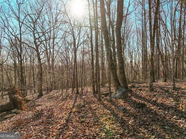 LOT 11 Mount Mincie Road, Murrayville, GA 30564